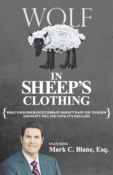 Best-Seller on Amazon: A Wolf In Sheep's Clothing