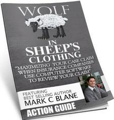 Free San Diego Car Accident Action Guide| Wolf in Sheeps' Clothing Author