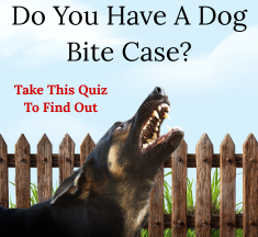 Not Sure If You Have a Dog Bite Case? Let’s Help You Find Out.